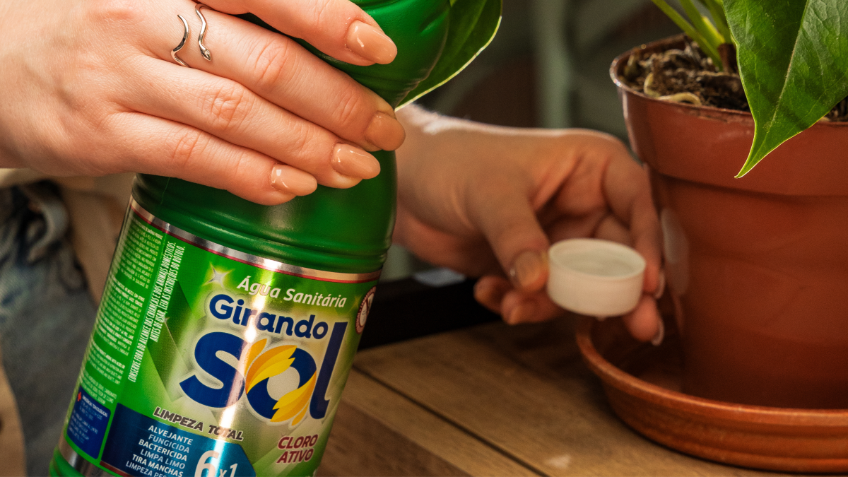 Quais são as 5 principais funções da água sanitária?